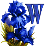 KKS~Blue-Iris-W.gif