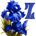 KKS~Blue-Iris-Z.gif