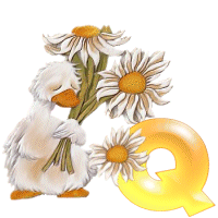 KKS~Daisy-Duck-Q.gif