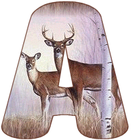 KKS~Deer-A.gif