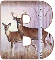 KKS~Deer-B.gif