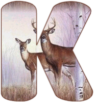 KKS~Deer-K_1.gif