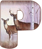 KKS~Deer-P.gif