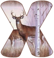 KKS~Deer-X.gif