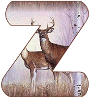 KKS~Deer-Z_1.gif