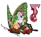 KKS~Floral-Butterfly-T.gif