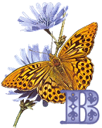 KKS~Monarch-Butterfly-B.gif