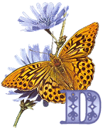 KKS~Monarch-Butterfly-D.gif