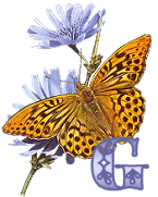 KKS~Monarch-Butterfly-G.gif