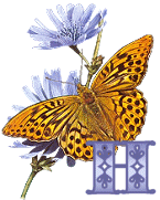 KKS~Monarch-Butterfly-H.gif