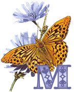 KKS~Monarch-Butterfly-M.gif