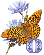 KKS~Monarch-Butterfly-O.gif