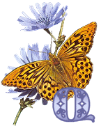 KKS~Monarch-Butterfly-Q.gif