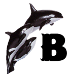 KKS~ORCA-B.gif