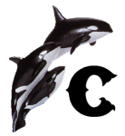 KKS~ORCA-C.gif