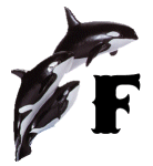 KKS~ORCA-F.gif