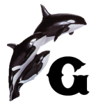 KKS~ORCA-G.gif