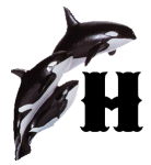 KKS~ORCA-H.gif