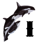 KKS~ORCA-I.gif