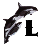 KKS~ORCA-L.gif