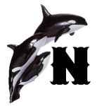 KKS~ORCA-N.gif