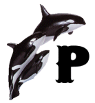 KKS~ORCA-P.gif