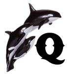 KKS~ORCA-Q.gif