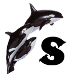 KKS~ORCA-S.gif