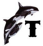 KKS~ORCA-T.gif