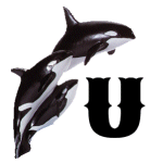 KKS~ORCA-U.gif