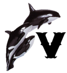 KKS~ORCA-V.gif