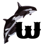 KKS~ORCA-W.gif