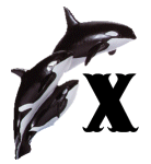 KKS~ORCA-X.gif