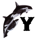 KKS~ORCA-Y.gif