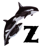 KKS~ORCA-Z.gif