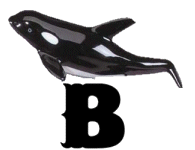 KKS~ORCA120BBMA12199701-0003.gif