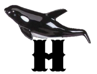 KKS~ORCA120HHMA12199701-0009.gif