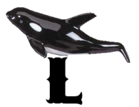 KKS~ORCA120LLMA12199701-0013.gif