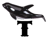 KKS~ORCA120TTMA12199701-0021.gif