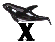 KKS~ORCA120XXMA12199701-0025.gif