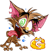 Katze-schrei-Schoko-g.gif