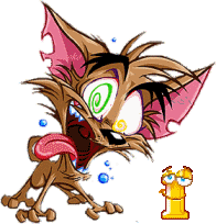 Katze-schrei-Schoko-i.gif