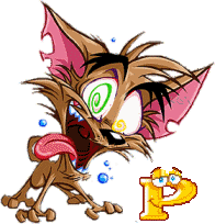 Katze-schrei-Schoko-p.gif