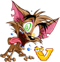 Katze-schrei-Schoko-v.gif