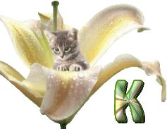 KittyBlossomK.gif