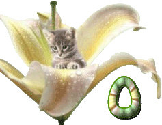 KittyBlossomO.gif