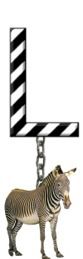 L-Zebra-Charm_ccnan.jpg