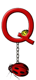 Ladybug-Charm_ccnan-17.gif