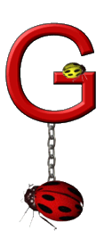 Ladybug-Charm_ccnan-7.gif