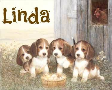 LindamapBeaglepuppies-vi.jpg